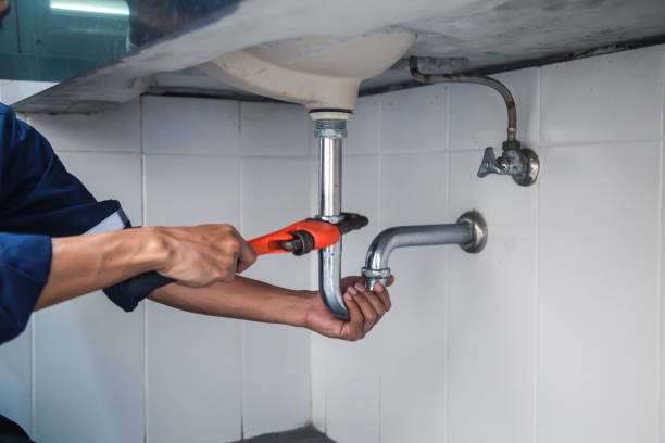 Best Commercial Plumbing Services  in Denver, CO
